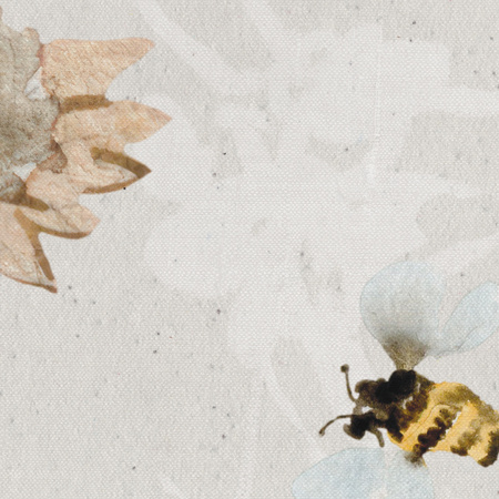 Tapeta winylowa struktura płótna kolorowa kwiatowa łąka - DARCY light (butterflies)