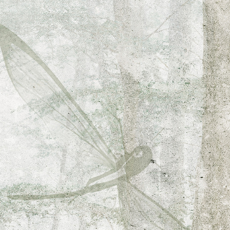 Tapeta winylowa struktura płótna las kolorowa - TAKE A BREATH dragonfly (color)