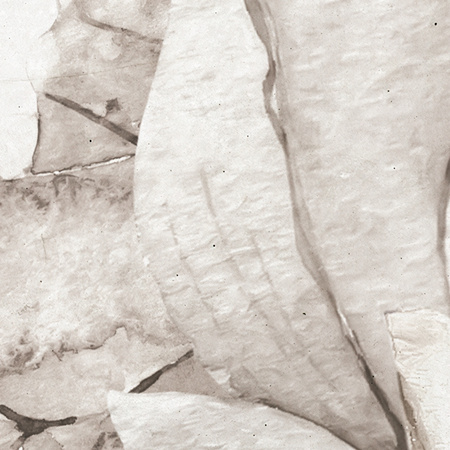 Tapeta winylowa struktura płótna liście lilie beżowa zielona - MORNING MEADOW light