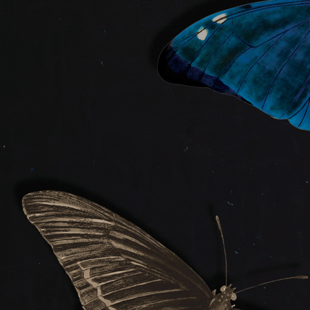 Tapeta winylowa struktura płótna malarstwo - GIRL WITH BUTTERFLIES (blue)