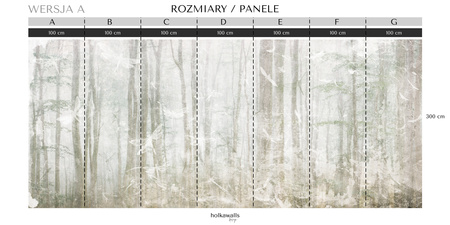 Tapeta winylowa struktura płótna las kolorowa - TAKE A BREATH dragonfly (color)