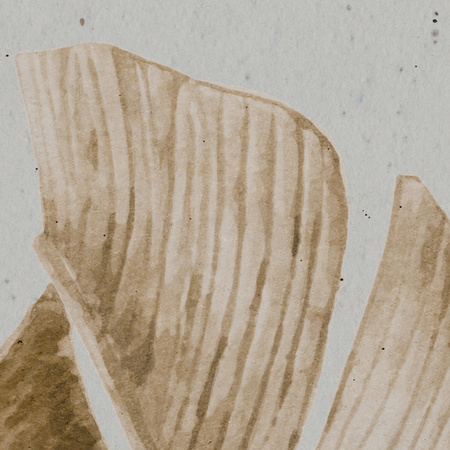 Tapeta winylowa struktura płótna liście bananowca beżowa - TALAMANCA beige (smokey)