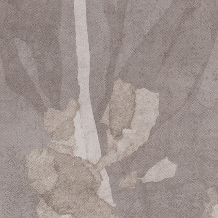 Tapeta winylowa struktura płótna gałązki i liście beżowa - TAMAMI (stone)