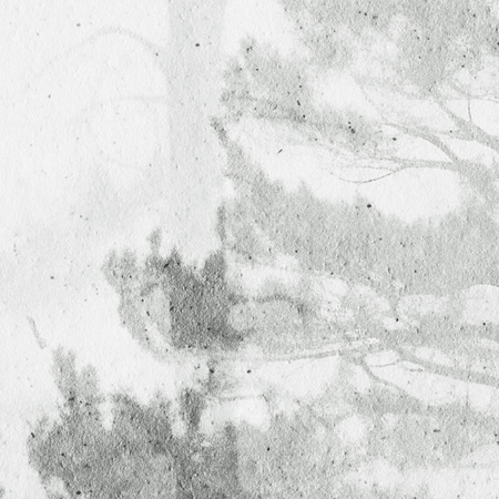 Tapeta winylowa struktura płótna las szara - NORWOOD (gray)