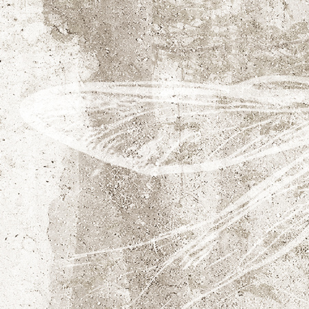 Tapeta winylowa struktura płótna las beżowa - TAKE A BREATH dragonfly (beige)