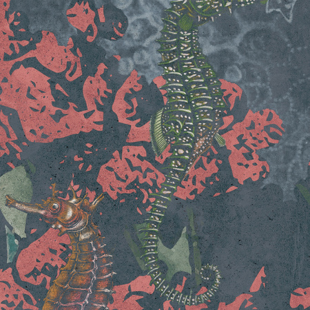 Tapeta winylowa struktura płótna rafa koralowa - DEEP WATERS fish