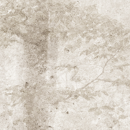 Tapeta winylowa struktura płótna las beżowa - TAKE A BREATH pure (beige)