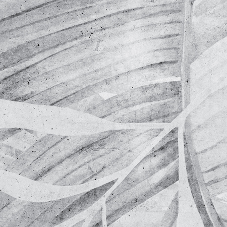 Tapeta winylowa struktura płótna tropikalne liście czarno-biała - KAMARA gray (landscape)