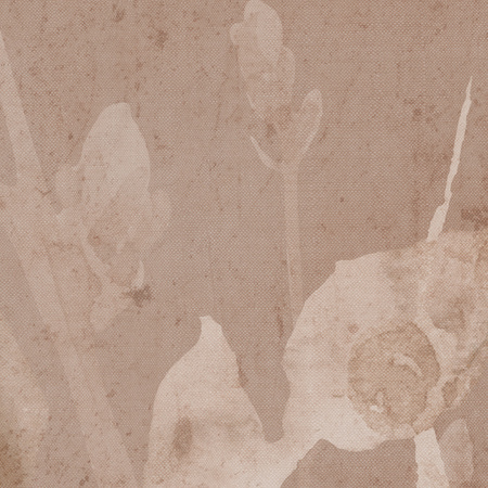 Tapeta winylowa struktura płótna gałązki i liście miedziana - TAMAMI (copper)