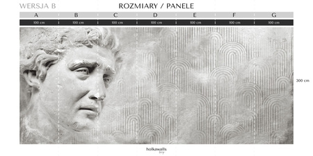 Tapeta winylowa struktura płótna rzeźba antyczna beton szara - THEODORE gray (decor)