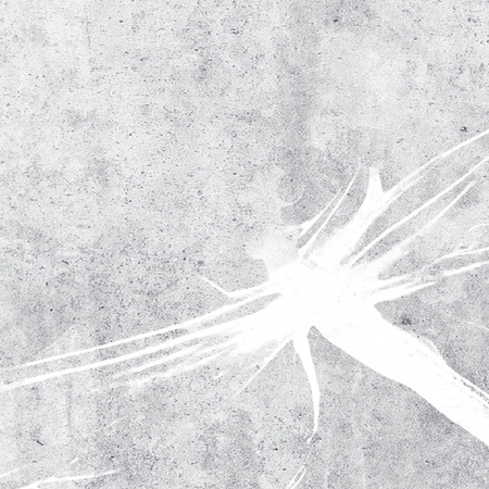 Tapeta winylowa struktura płótna las szara - TAKE A BREATH dragonfly (gray)