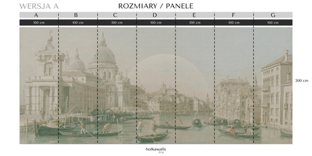 Tapeta winylowa struktura płótna wenecja - VENEZIANA sole (color)