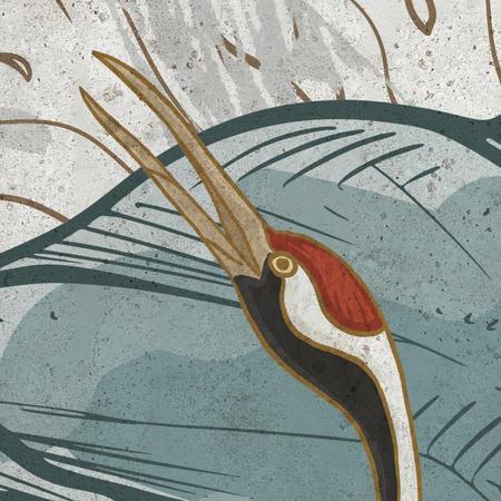 Tapeta winylowa struktura płótna żurawie orientalna kolorowa - NANAMI light