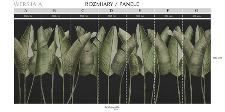Tapeta winylowa struktura płótna liście bananowca zielona czarne tło - TALAMANCA dark (green)