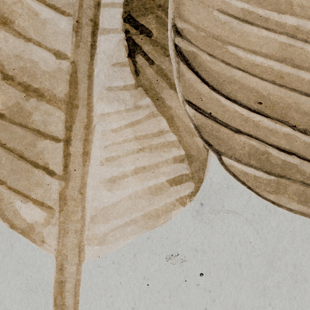 Tapeta winylowa struktura płótna liście bananowca beżowa - TALAMANCA beige (smokey)