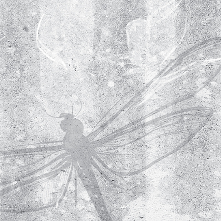 Tapeta winylowa struktura płótna las szara - TAKE A BREATH dragonfly (gray)