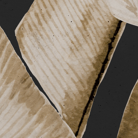 Tapeta winylowa struktura płótna liście bananowca beż czarne tło - TALAMANCA dark (beige)