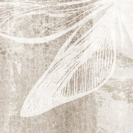 Tapeta winylowa struktura płótna las beżowa - TAKE A BREATH dragonfly (beige)