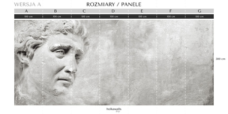 Tapeta winylowa struktura płótna rzeźba antyczna beton szara - THEODORE gray (simple)