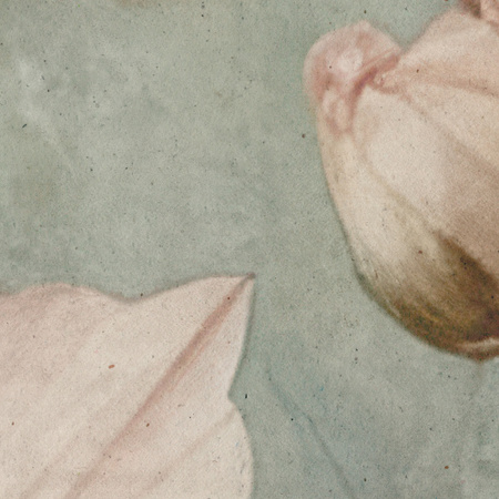 Tapeta winylowa struktura płótna kwiaty kolorowa dekoracyjna - SCARLETT simple (color)