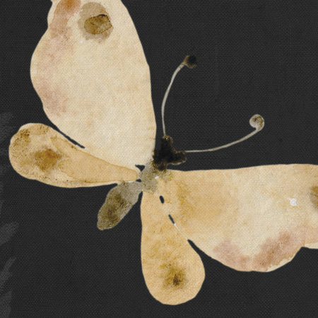 Tapeta winylowa struktura płótna kolorowa kwiatowa łąka czarne tło - DARCY dark (butterflies)