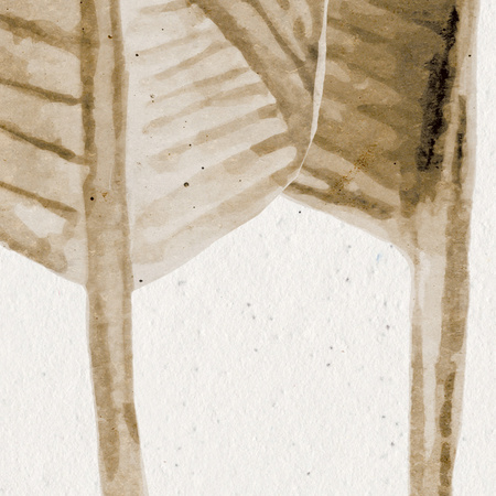 Tapeta winylowa struktura płótna liście bananowca beżowa - TALAMANCA beige (light)