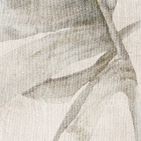 Tapeta winylowa struktura płótna liście tropikalne - GIANNI Simple (beige)