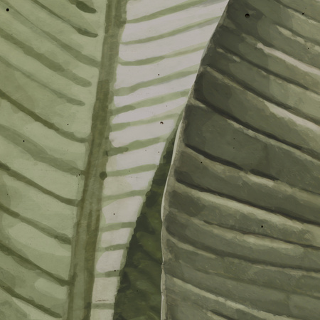 Tapeta winylowa struktura płótna liście bananowca zielona czarne tło - TALAMANCA dark (green)