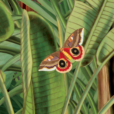 Tapeta winylowa struktura płótna liście dżungla tropikalna zielona - ONE DAY IN EDEN green (fauna)