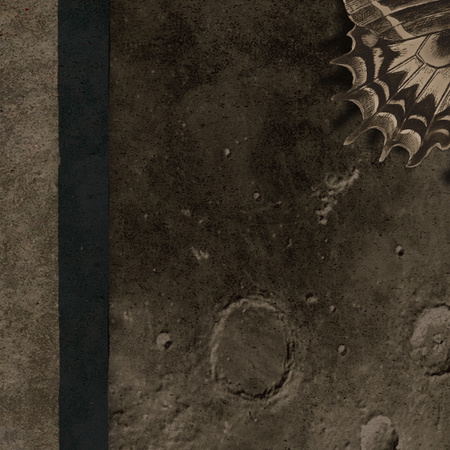 Tapeta winylowa struktura płótna malarstwo księżyc - GIRL WITH BUTTERFLIES (moon)