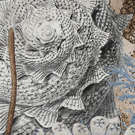 Tapeta winylowa struktura płótna rafa koralowa - NORI blue