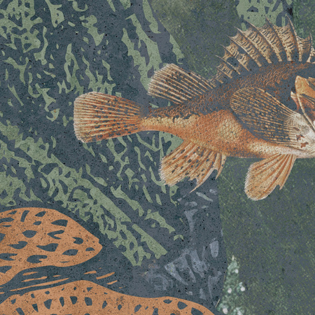 Tapeta winylowa struktura płótna rafa koralowa - DEEP WATERS fish