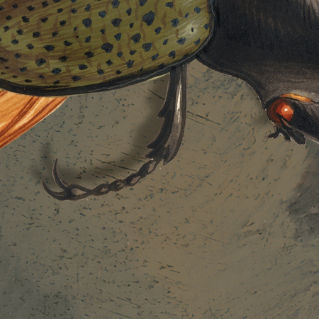 Tapeta winylowa struktura płótna malarstwo - JAN VAN EYCK & THE BEETLE (landscape)