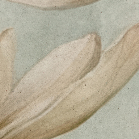 Tapeta winylowa struktura płótna kwiaty kolorowa dekoracyjna - SCARLETT simple (color)