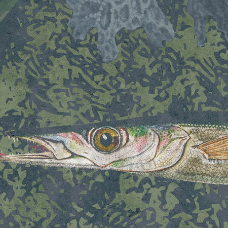 Tapeta winylowa struktura płótna rafa koralowa - DEEP WATERS fish