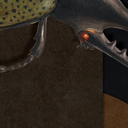 Tapeta winylowa struktura płótna obraz olejny - JAN VAN EYCK & THE BEETLE (red)